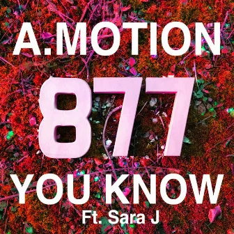 You Know EP by Amotion