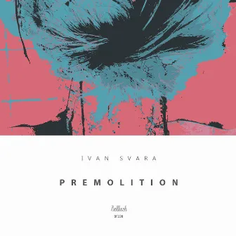 Premolition by Ivan Svara