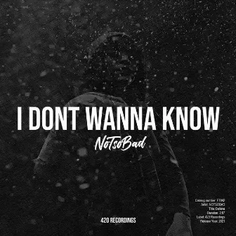 I Don't Wanna Know by NOTSOBAD