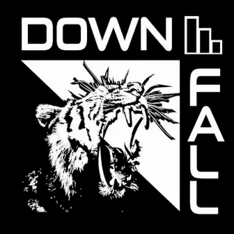 Downfall by Swiger