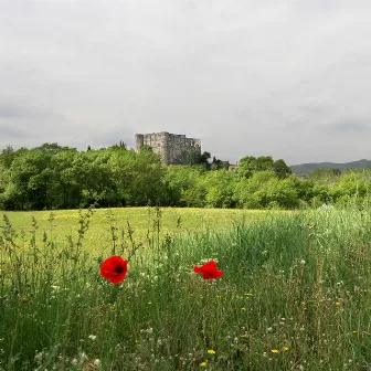 Shire Hymn by Adam Steele