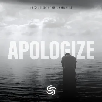 Apologize by Liptone