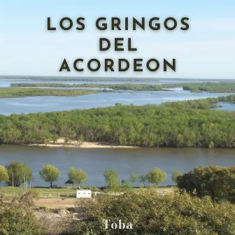 Los Gringos del Acordeón by Toba