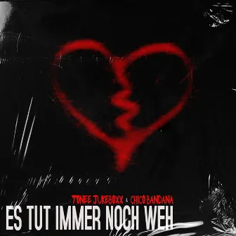 Es Tut Immer Noch Weh by Tonee Jukeboxx