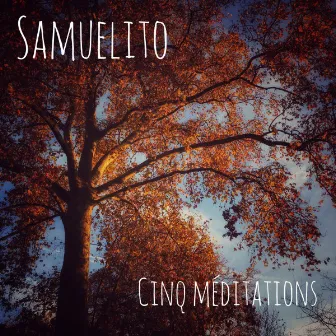 Cinq méditations by Samuelito