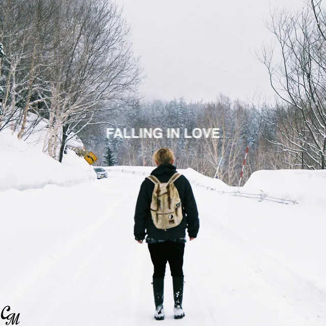 Falling In Love