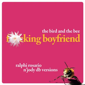 Ralphi Rosario N' Jody Db Versions by the bird and the bee