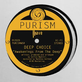 Awakenings from the Deep by Deep Choice