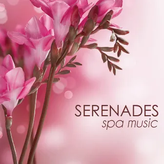 Serenades Spa Music: Relaxation Music Best of Spa Background Songs Relaxation Meditation by Spa Music in Spa