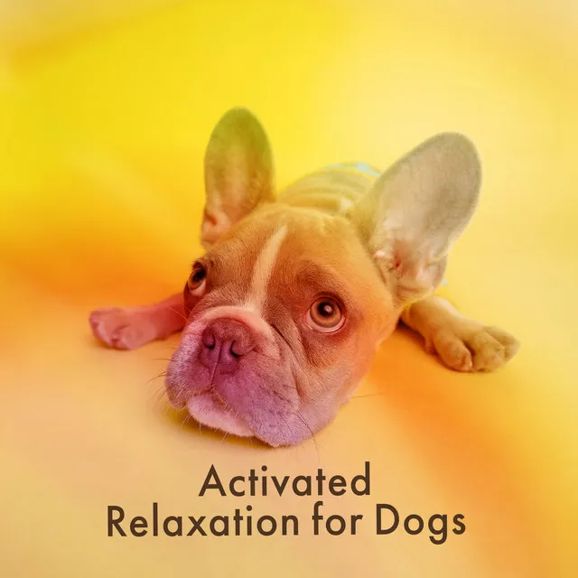 Activated Relaxation for Dogs