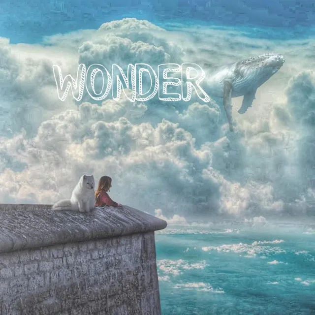 Wonder