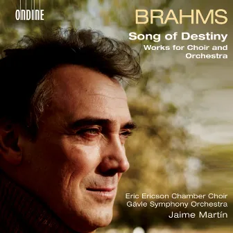 Brahms: Works for Choir & Orchestra by Gävle Symphony Orchestra