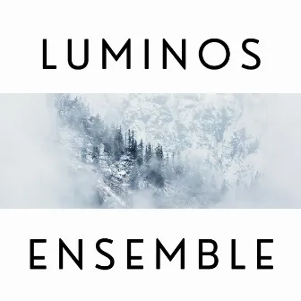 Luminos Ensemble by Luminos Ensemble