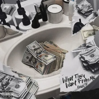 What They Want From Me by Crissy P