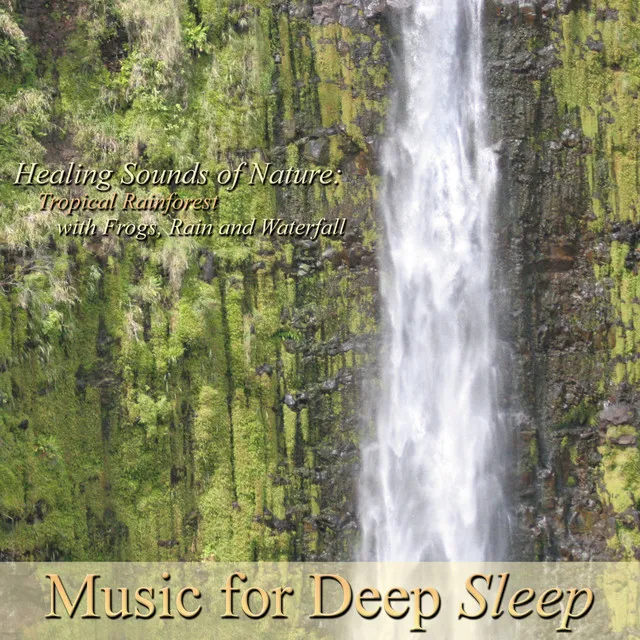 A Beautiful Thunderstorm at the Rainforest (Music for Deep Sleep) [feat. Dr. Siddharth Ashvin Shah]