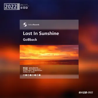 Lost In Sunshine by Unknown Artist