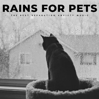 Rains For Pets: The Best Separation Anxiety Music by Happy Dogs And Cats