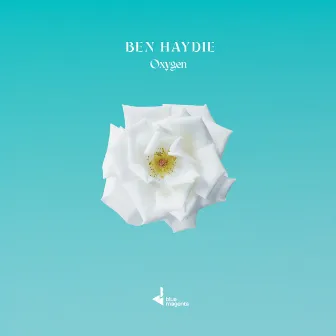 Oxygen by Ben Haydie