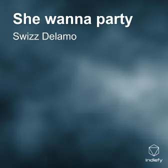 She wanna party (Cover) by Swizz Delamo