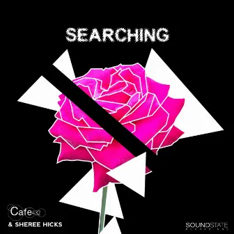 Searching by Sheree Hicks