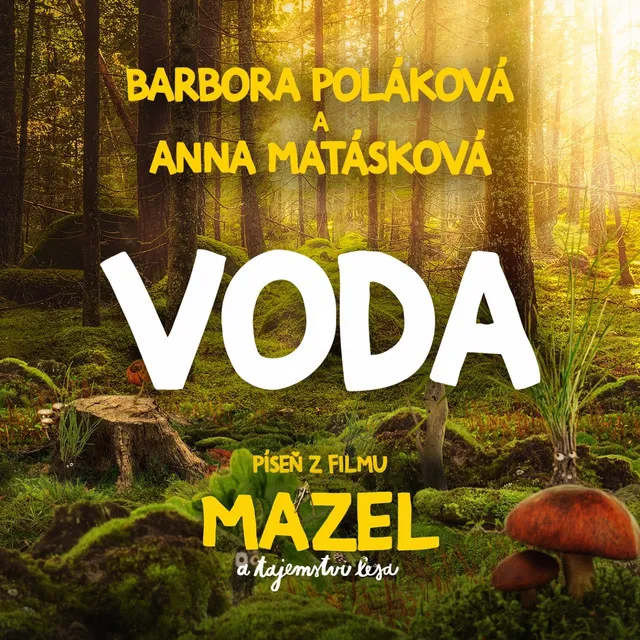 Voda (píseň z filmu Mazel a tajemství lesa)