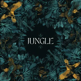 Jungle by Siren & Seer