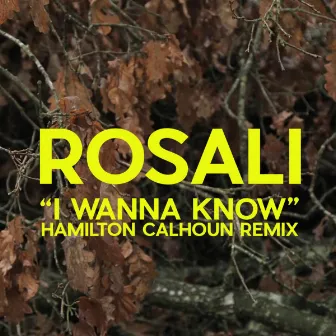 I Wanna Know (Hamilton Calhoun Remix) by Rosali