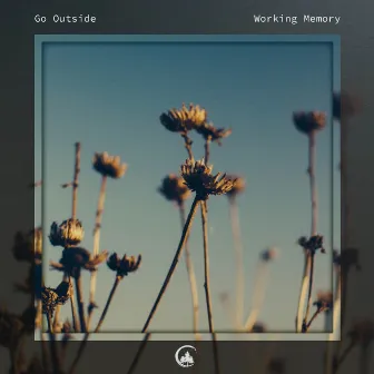 Working Memory by Go Outside