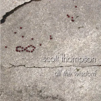 All The Wisdom by Scott Thompson