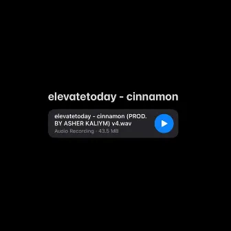 cinnamon by elevatetoday