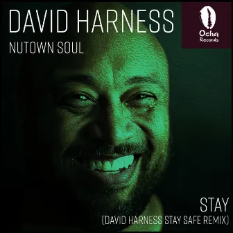 Stay (David Harness Remix) by Nutown Soul