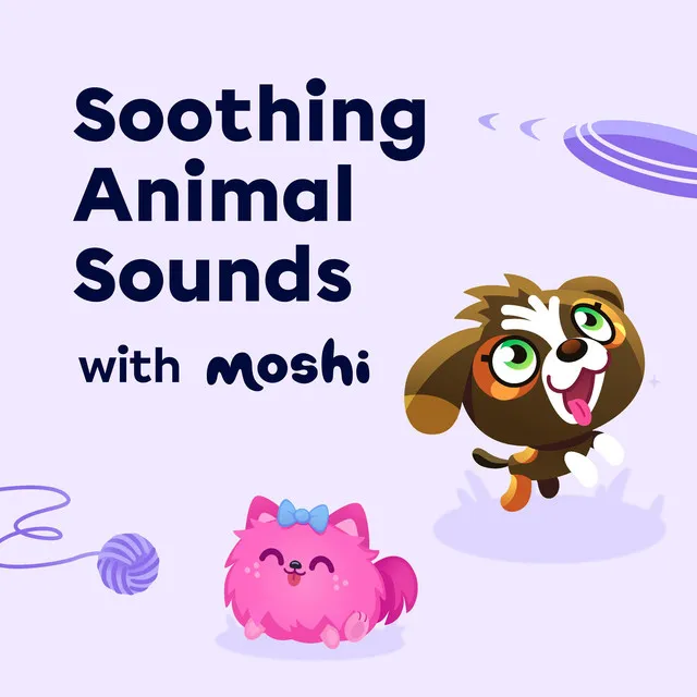 Soothing Animal Sounds with Moshi