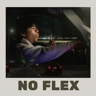 NO FLEX by Lio Desario