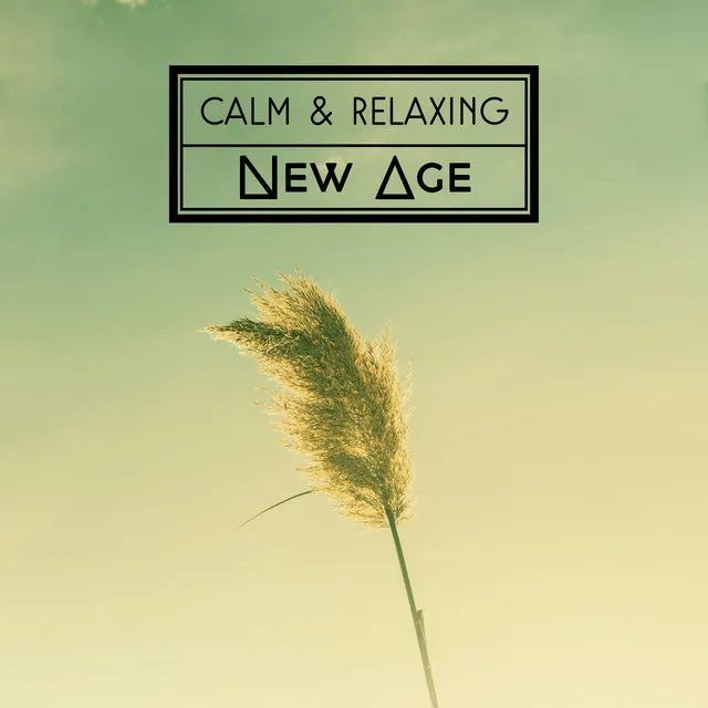 Calm & Relaxing New Age – Calm Mind, Peaceful Soul, Spirit Journey, New Age Relaxation, Music to Rest