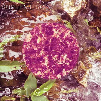 3.21.95 by Supreme Sol