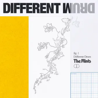 Different Drum by The Flints