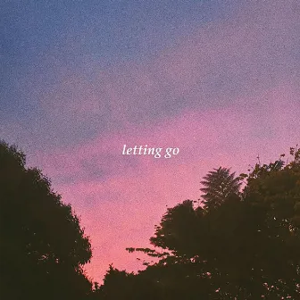 Letting Go by BØJET