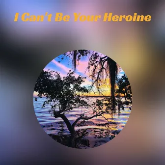 I Can't Be Your Heroine by Mary Grace Knapp