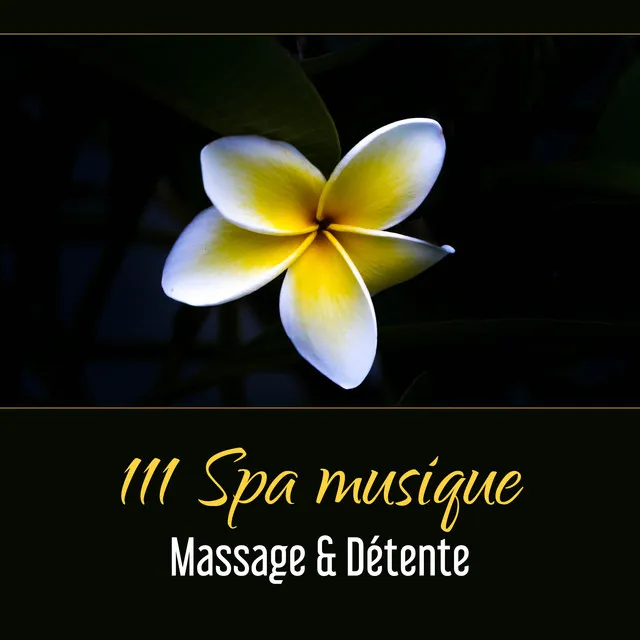 Detente Spa Musique Collection