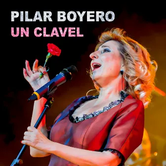 Un clavel by Pilar Boyero