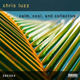 Calm, Cool, & Collective by Chris Luzz