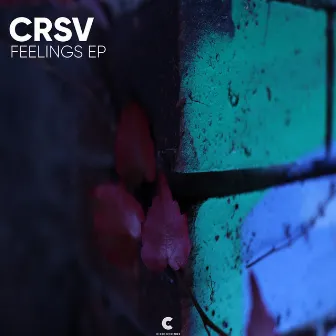 Feelings EP by CRSV