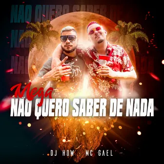 Não Quero Saber de Nada by mc gael