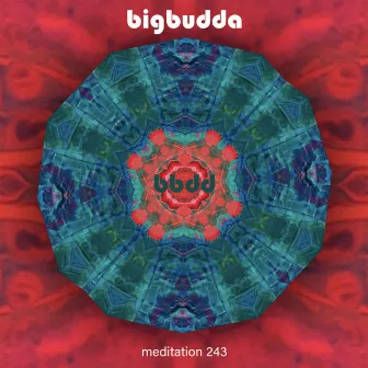 Meditation 243 by BigBudda