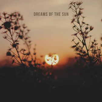 Dreams of the Sun by Mithun Bairagi