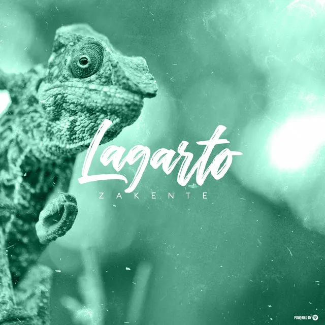 Lagarto