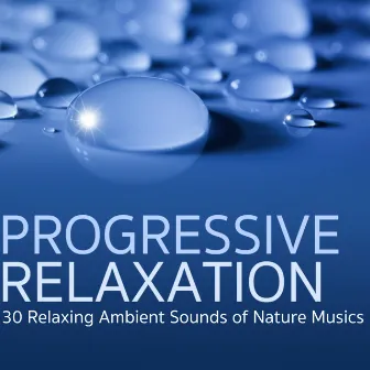 Progressive Relaxation - 30 Relaxing Ambient Sounds of Nature Music for Morning Awakening by Spring Awakening