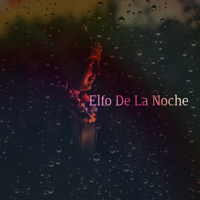 Elfo De La Noche