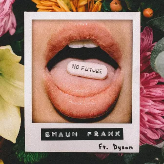 No Future (feat. DYSON) by Shaun Frank