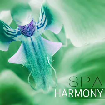 Spa Harmony – Wellness Music Spa, Inner Peace, Calmness, Healing Massage Music, Harmony of Senses, Therapy Music for Relax, Inner Peace by Home SPA Collection